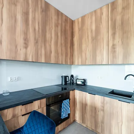 Fabryczna Blissful Space Apartment Lodz (Lodz)